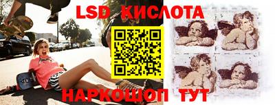 прущие грибы Балашиха