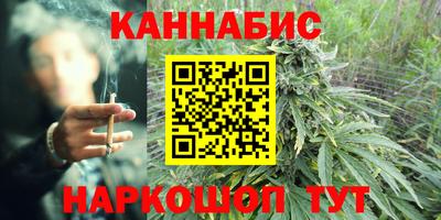 прущие грибы Балашиха