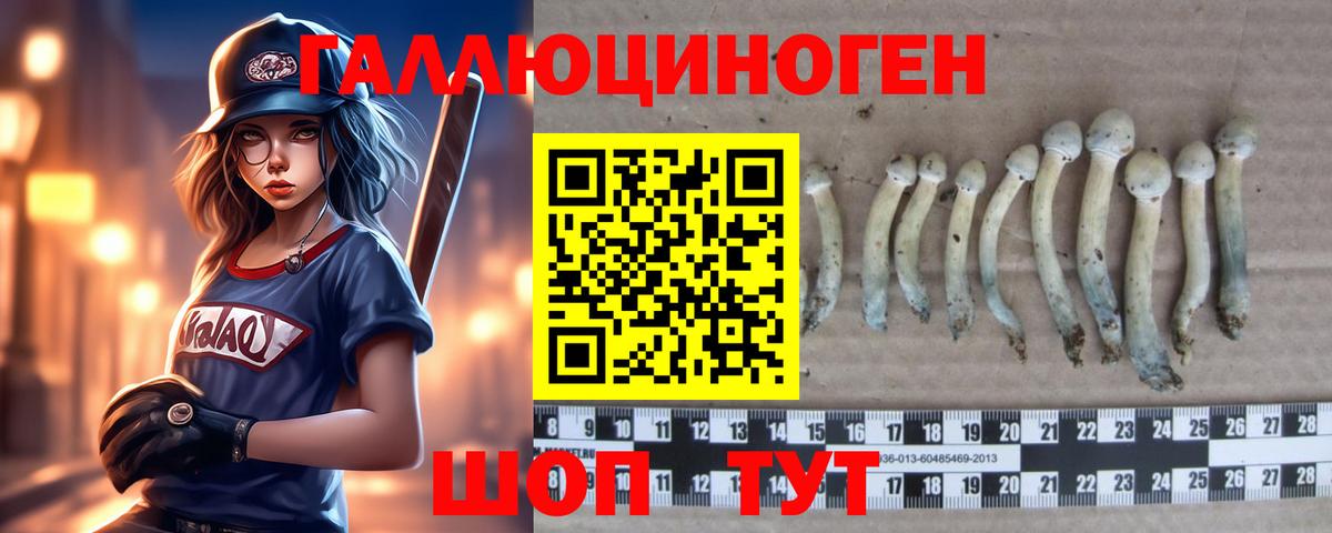 Псилоцибиновые грибы Magic Shrooms  Вход с VPN  Дзержинск 